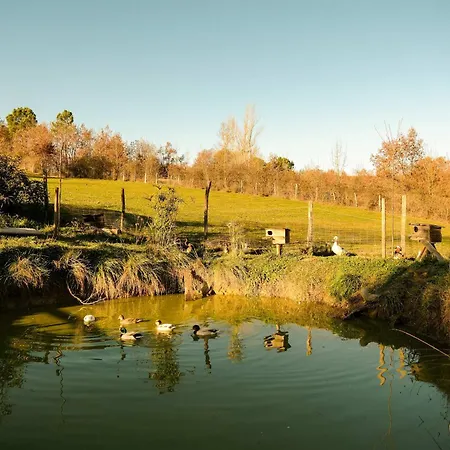 Homnest - Clairiere Des Animaux - 1h De Toulouse Ferienhaus Puybegon