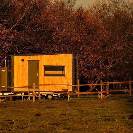 Homnest - Clairiere Des Animaux - 1h De Toulouse Puybegon
