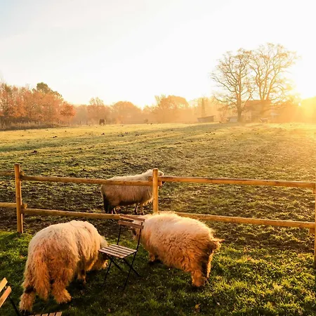 Homnest - Clairiere Des Animaux - 1h De Toulouse Puybegon