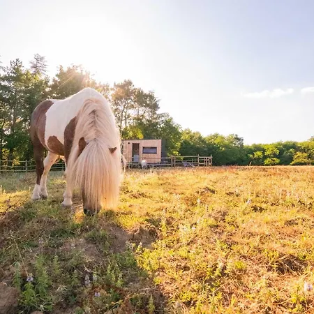 Homnest - Clairiere Des Animaux - 1h De Toulouse