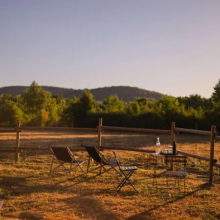 Homnest - Clairiere Des Animaux - 1h De Toulouse * Puybegon