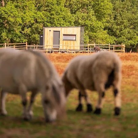 Homnest - Clairiere Des Animaux - 1h De Toulouse