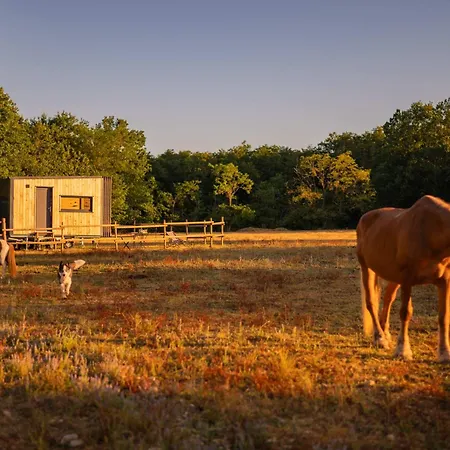Feriehus Homnest - Clairiere Des Animaux - 1h De Toulouse Puybegon