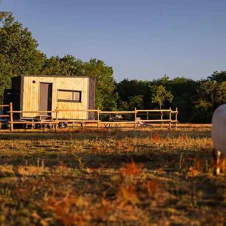 Feriehus Homnest - Clairiere Des Animaux - 1h De Toulouse *
