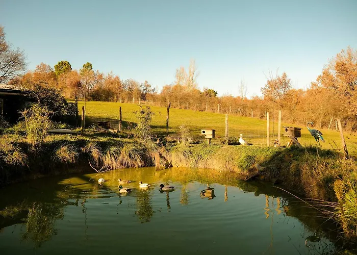 Homnest - Clairiere Des Animaux - 1h De Toulouse Tatil Evi Puybegon