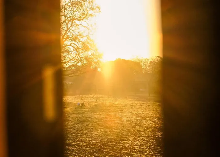 Homnest - Clairiere Des Animaux - 1h De Toulouse *