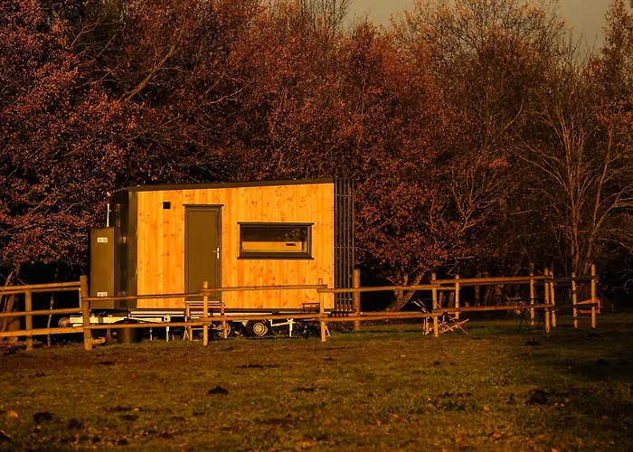 Homnest - Clairiere Des Animaux - 1h De Toulouse Puybegon