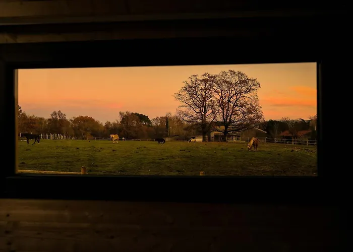 Homnest - Clairiere Des Animaux - 1h De Toulouse Puybegon