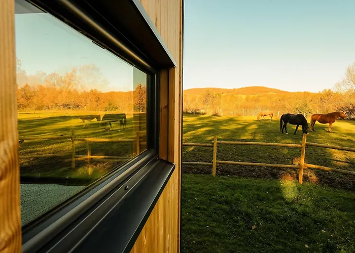 Ferienhaus Homnest - Clairiere Des Animaux - 1h De Toulouse