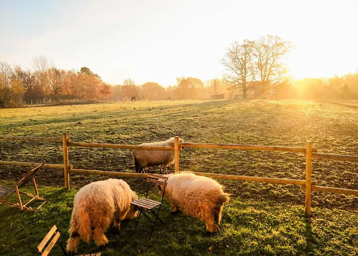 Homnest - Clairiere Des Animaux - 1h De Toulouse Puybegon